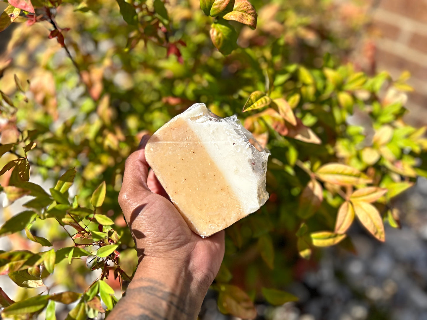 Turmeric & Sea moss bar - Nique's House of Healing