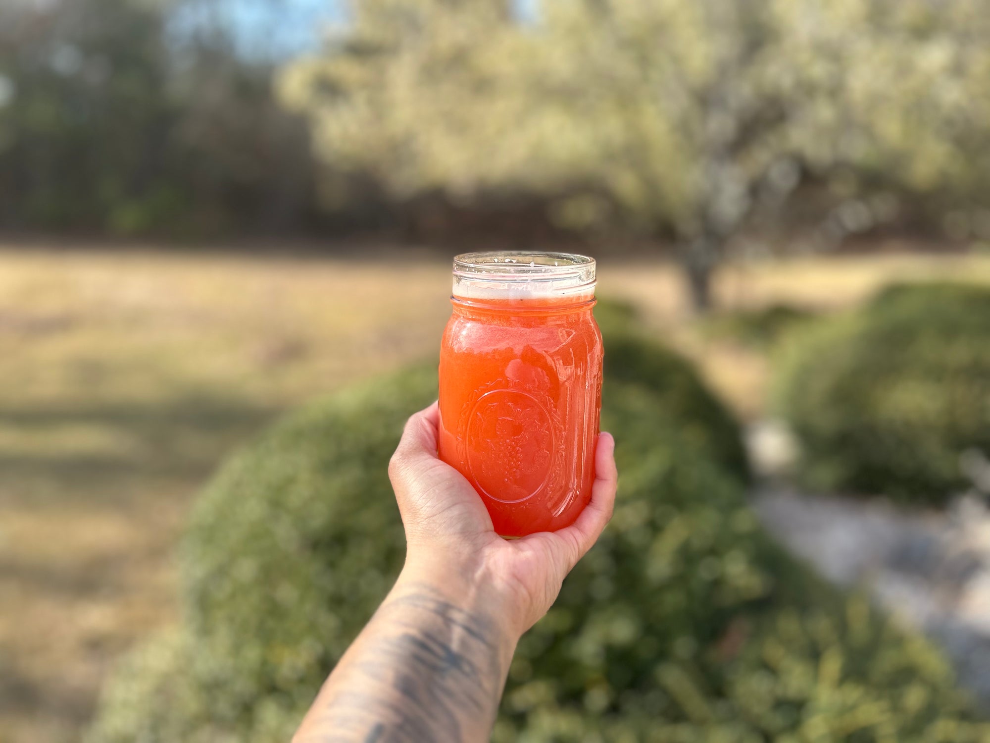 Strawberry infusion - Nique's House of Healing