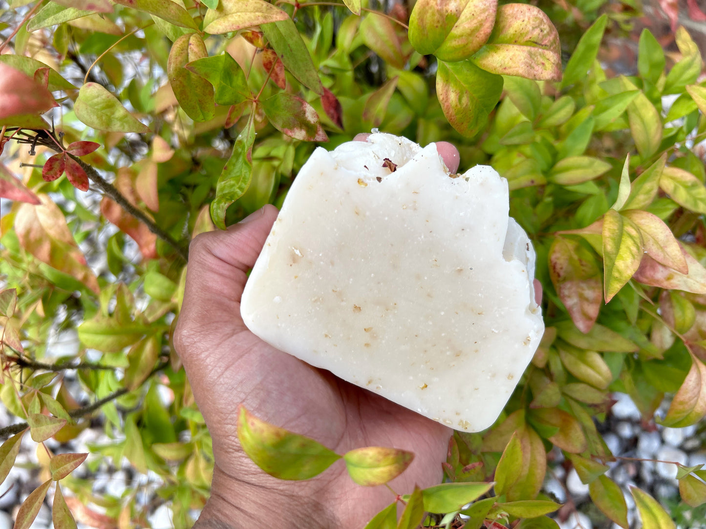 Hydrating Body Bar - Nique's House of Healing