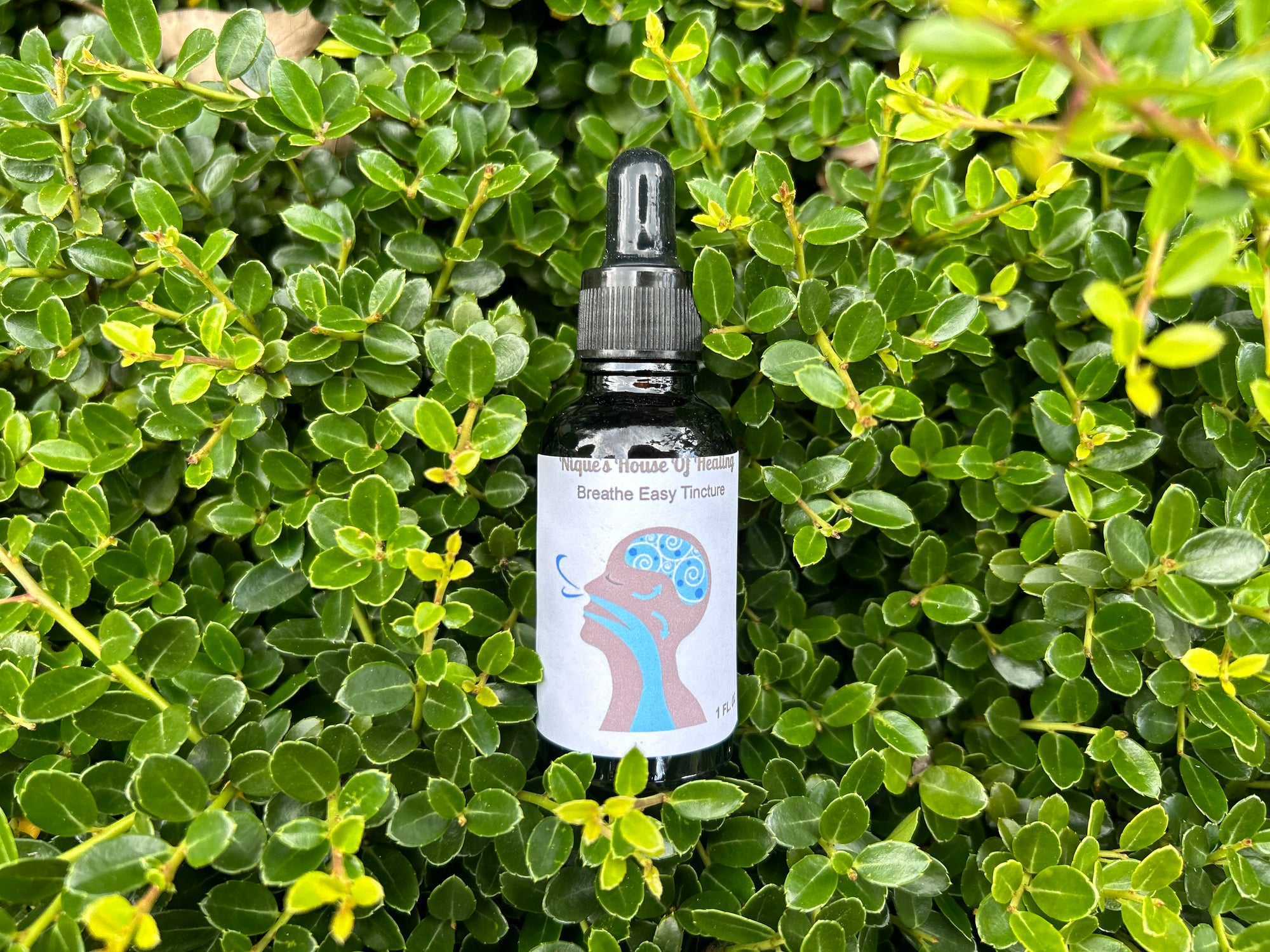 Breathe Easy Tincture - Nique's House of Healing