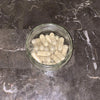 Bitter Melon capsules - Nique&#39;s House of Healing