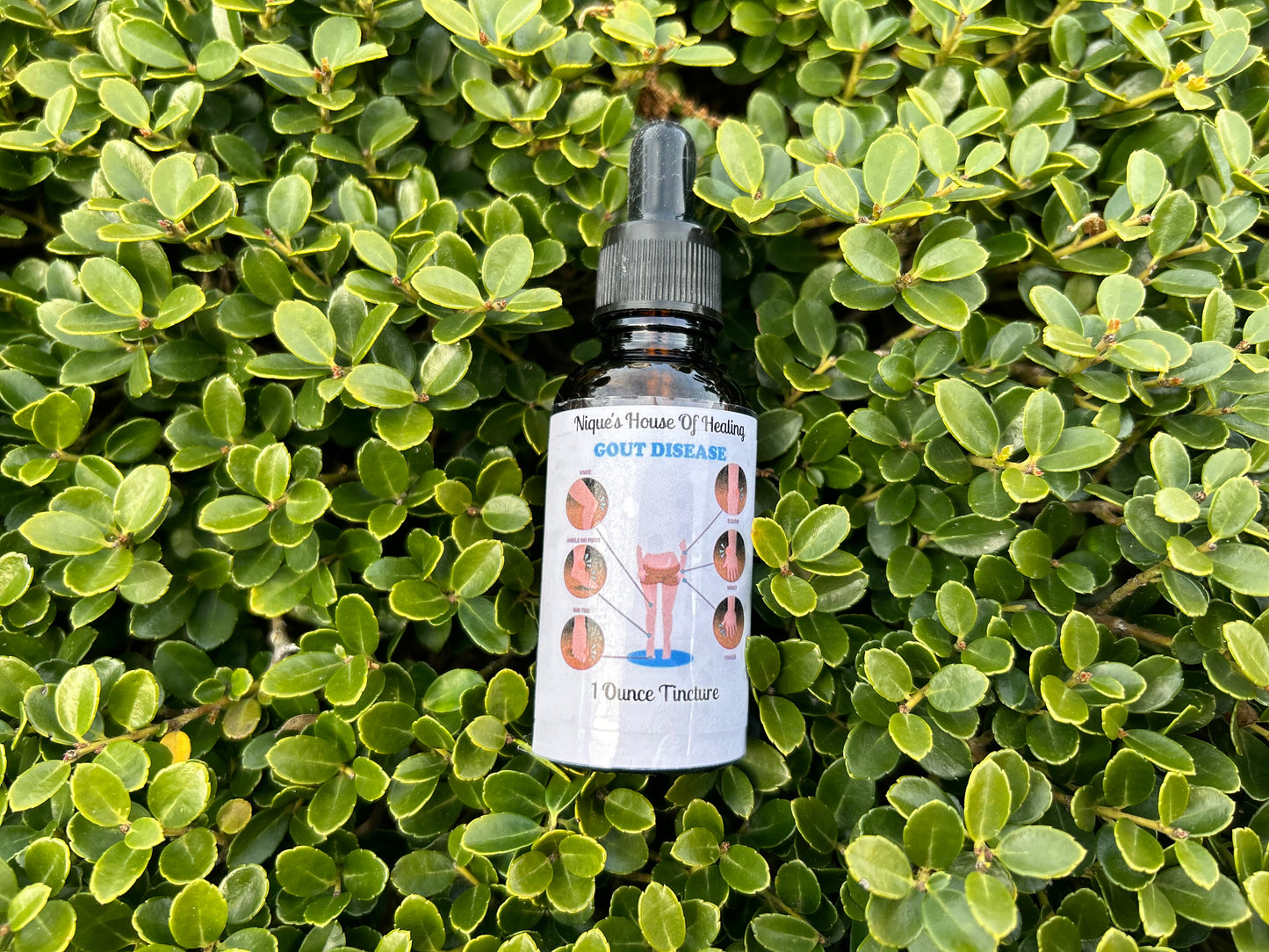 Gout-Relief Tincture - Nique's House of Healing