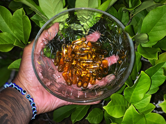 Black Seed Oil & Oregano Oil Combo Capsules - Nique's House of Healing