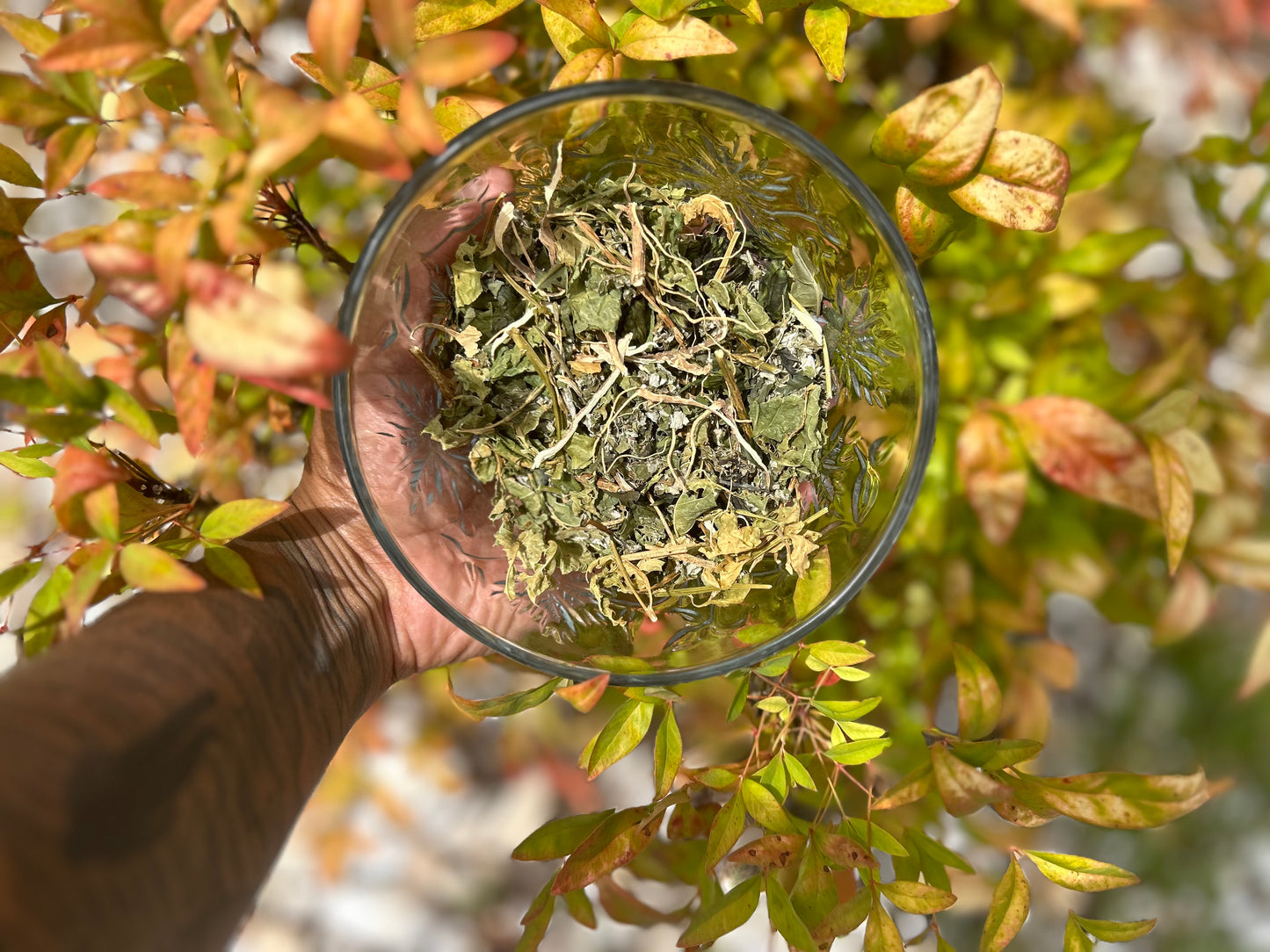 Women’s Wellness Tea - Nique's House of Healing