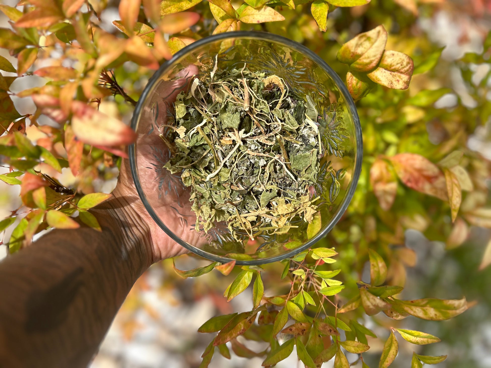 Women’s Wellness Tea - Nique's House of Healing