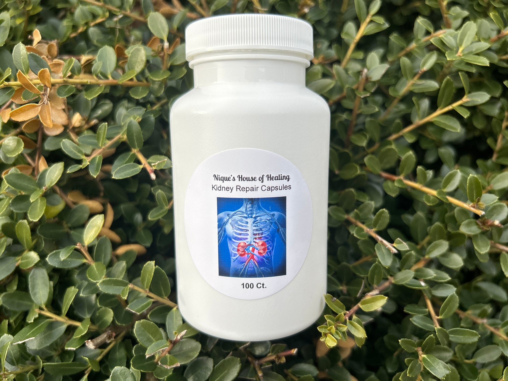 Kidney Repair Capsules - Nique's House of Healing