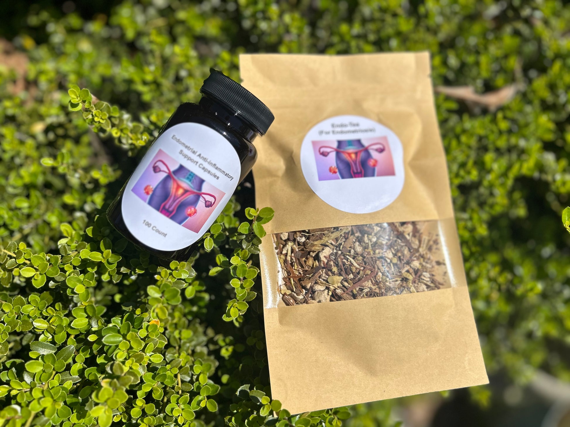 Endometriosis Support Bundle - Nique's House of Healing