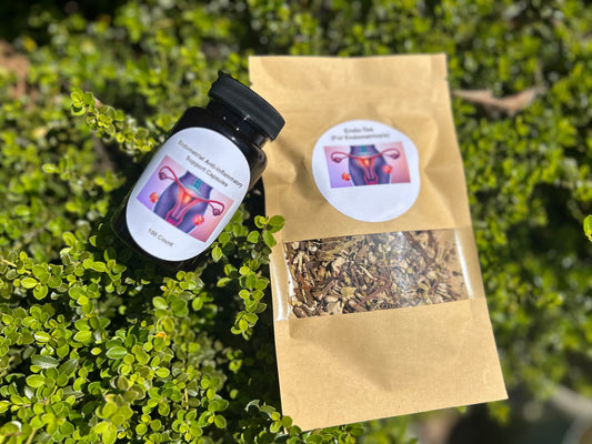 Endometriosis Support Bundle - Nique's House of Healing