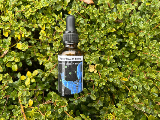 Immune Support Tincture - Nique's House of Healing