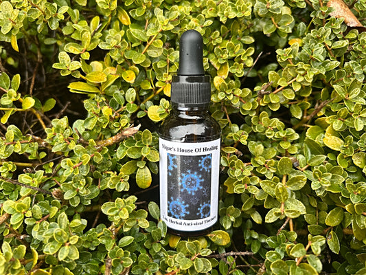 Herbal Antiviral Tincture - Nique's House of Healing