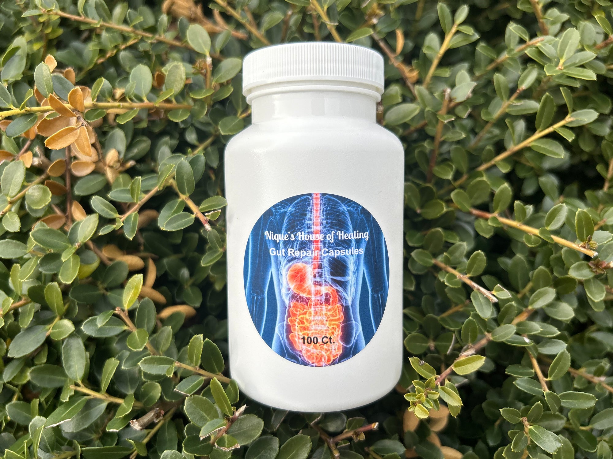 Gut Repair Capsules - Nique's House of Healing