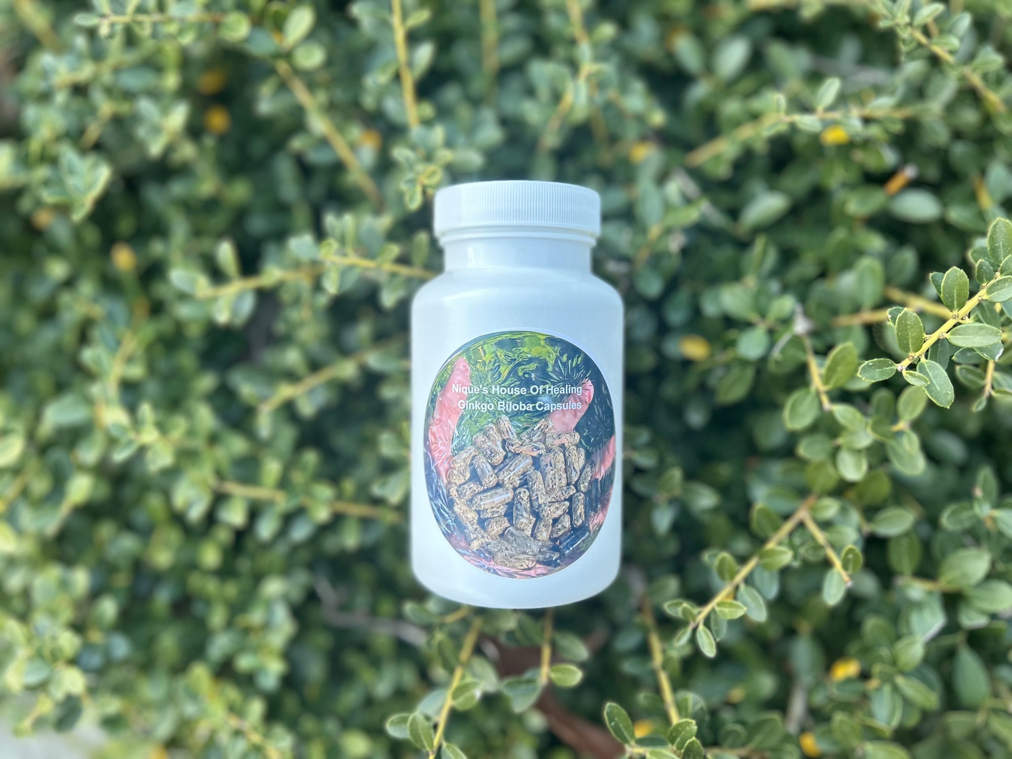 Ginkgo Biloba Capsules - Nique's House of Healing