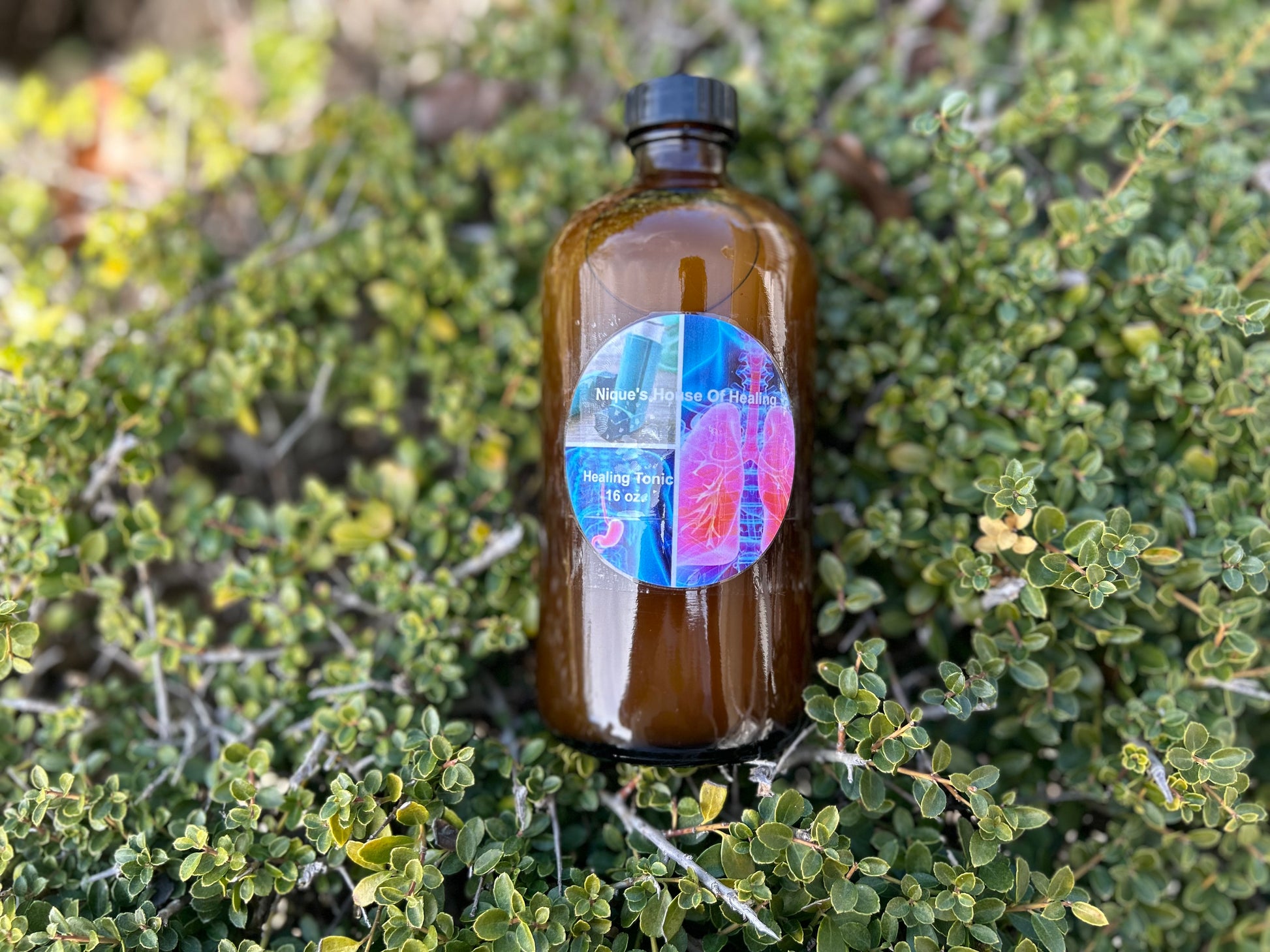 Healing tonic for Asthma, lung problems, and stomach problems.) - Nique's House of Healing