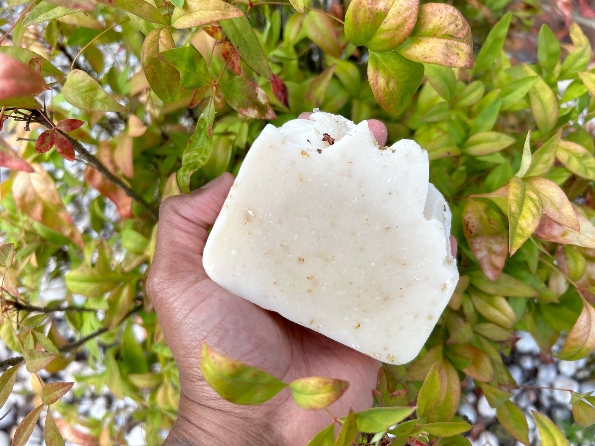 Hydrating Body Bar - Nique's House of Healing