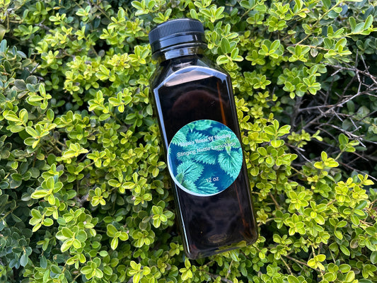 Stinging Nettle Lemonade - Nique's House of Healing