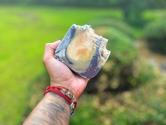 Deep Cleansing Body Bar - Nique's House of Healing
