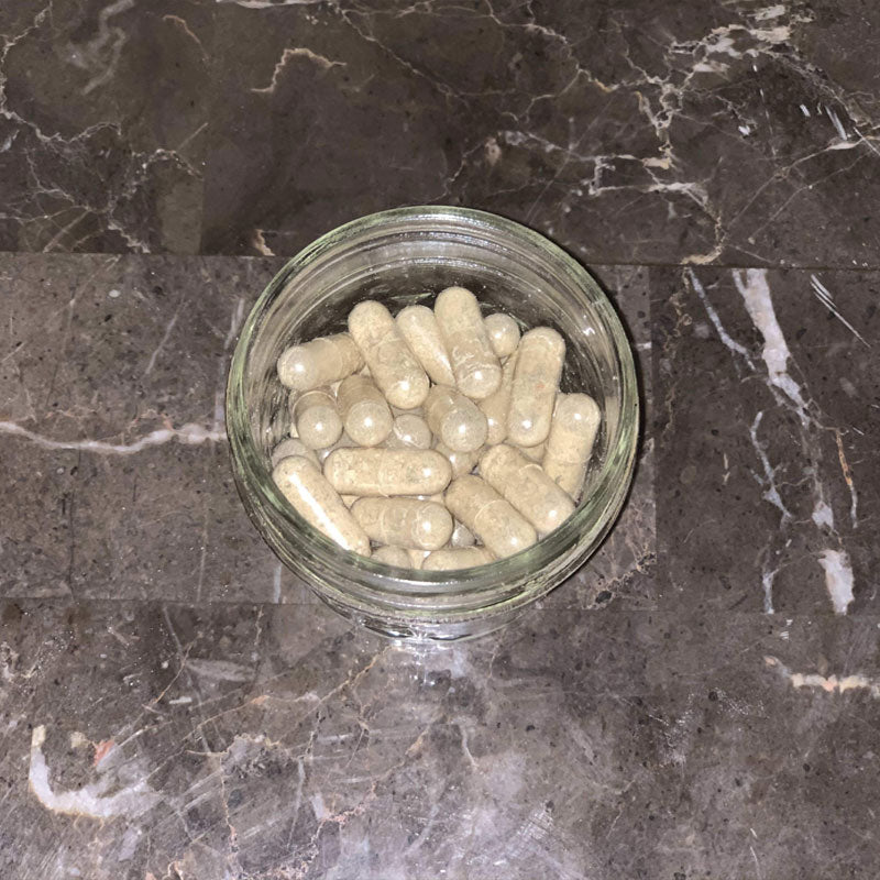 Bitter Melon capsules - Nique's House of Healing
