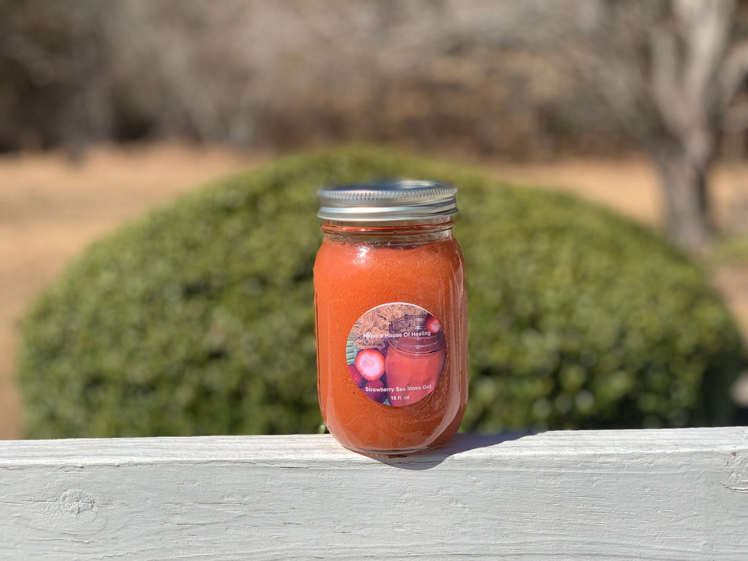 Strawberry sea moss gel - Nique's House of Healing